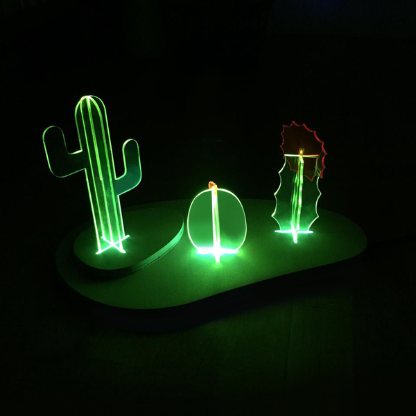 Fluorescent Bookshelf